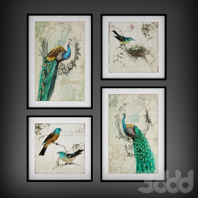 Collection of paintings &quot;The Birds&quot;