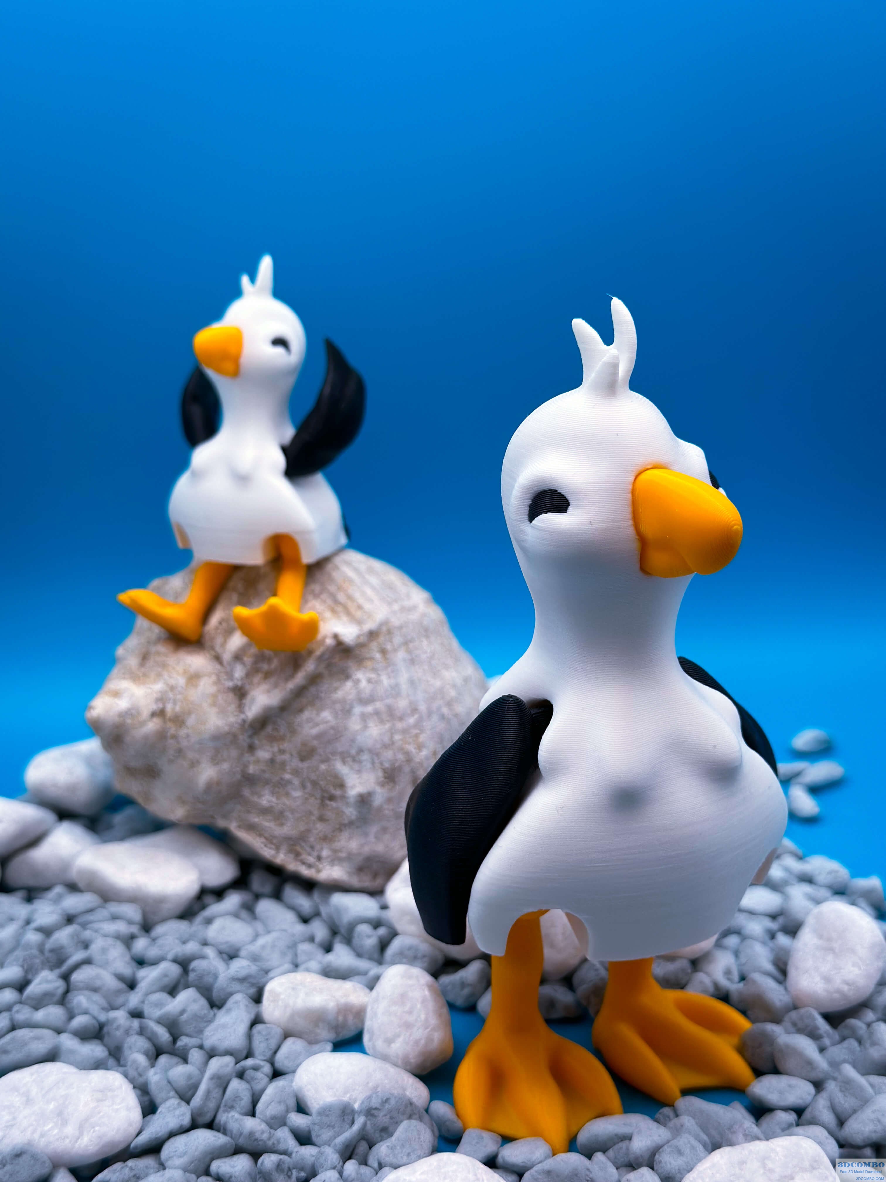 Articulated Seagull 3D Model1.3dcombo.com