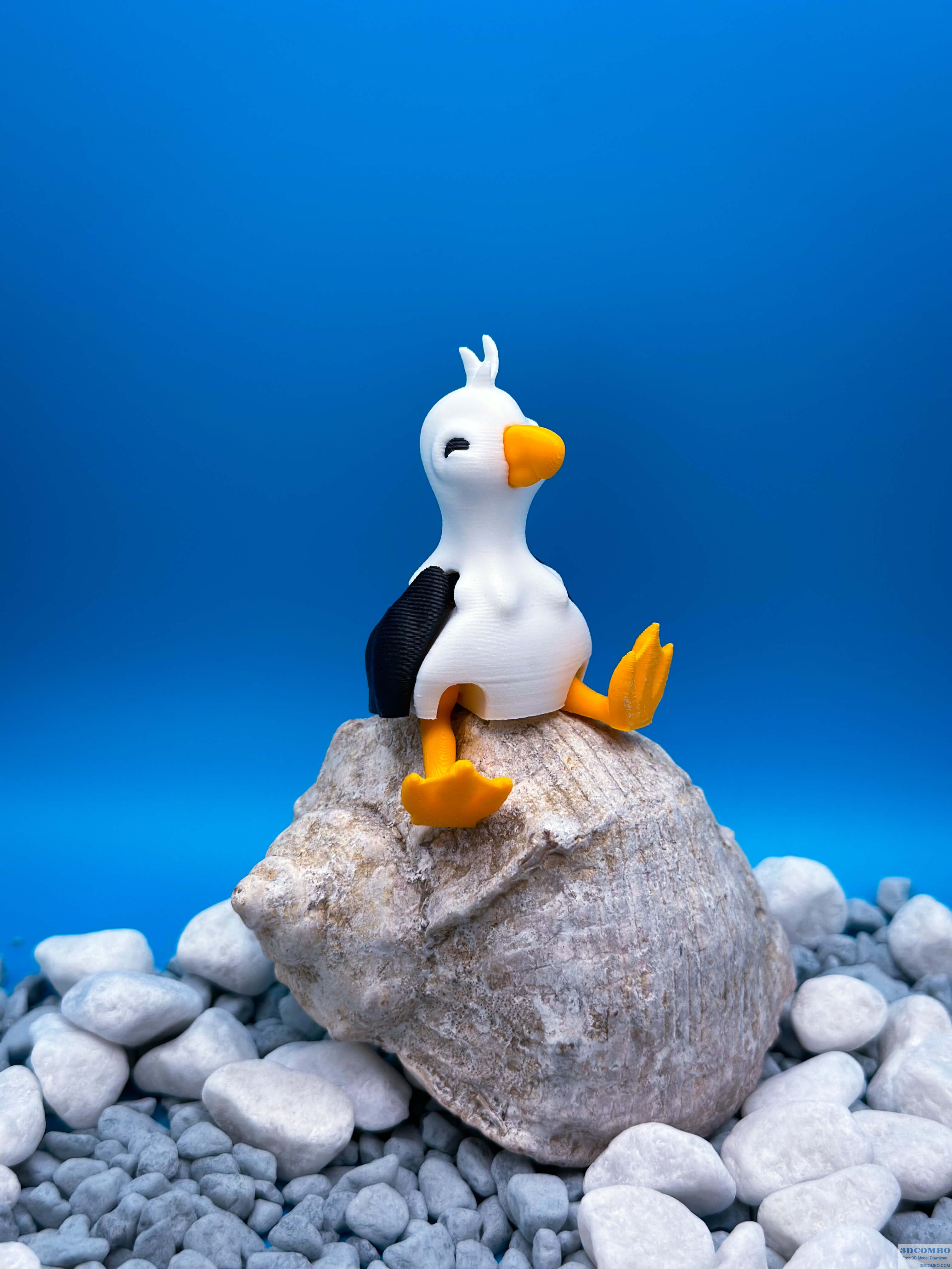 Articulated Seagull 3D Model3.3dcombo.com