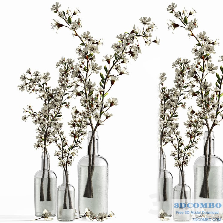 Bouquet to cozy the house