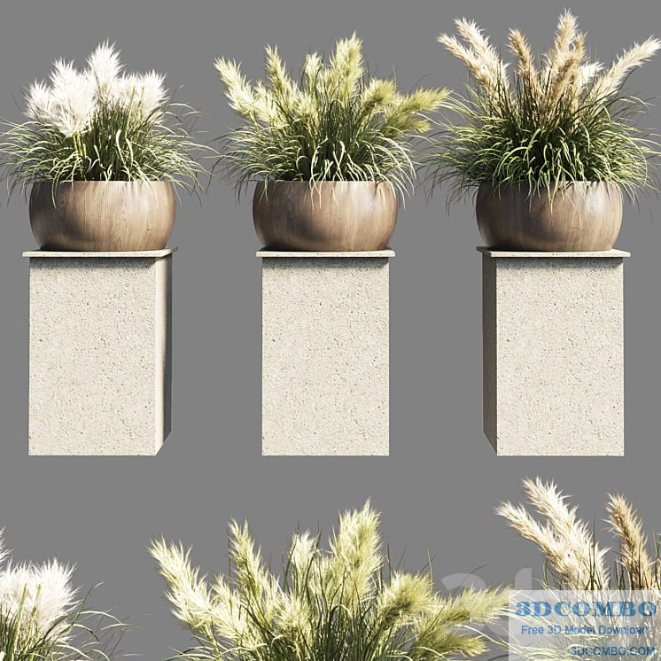 Collection outdoor indoor 70 pot palnt grass the dry pampas stand vase wooden