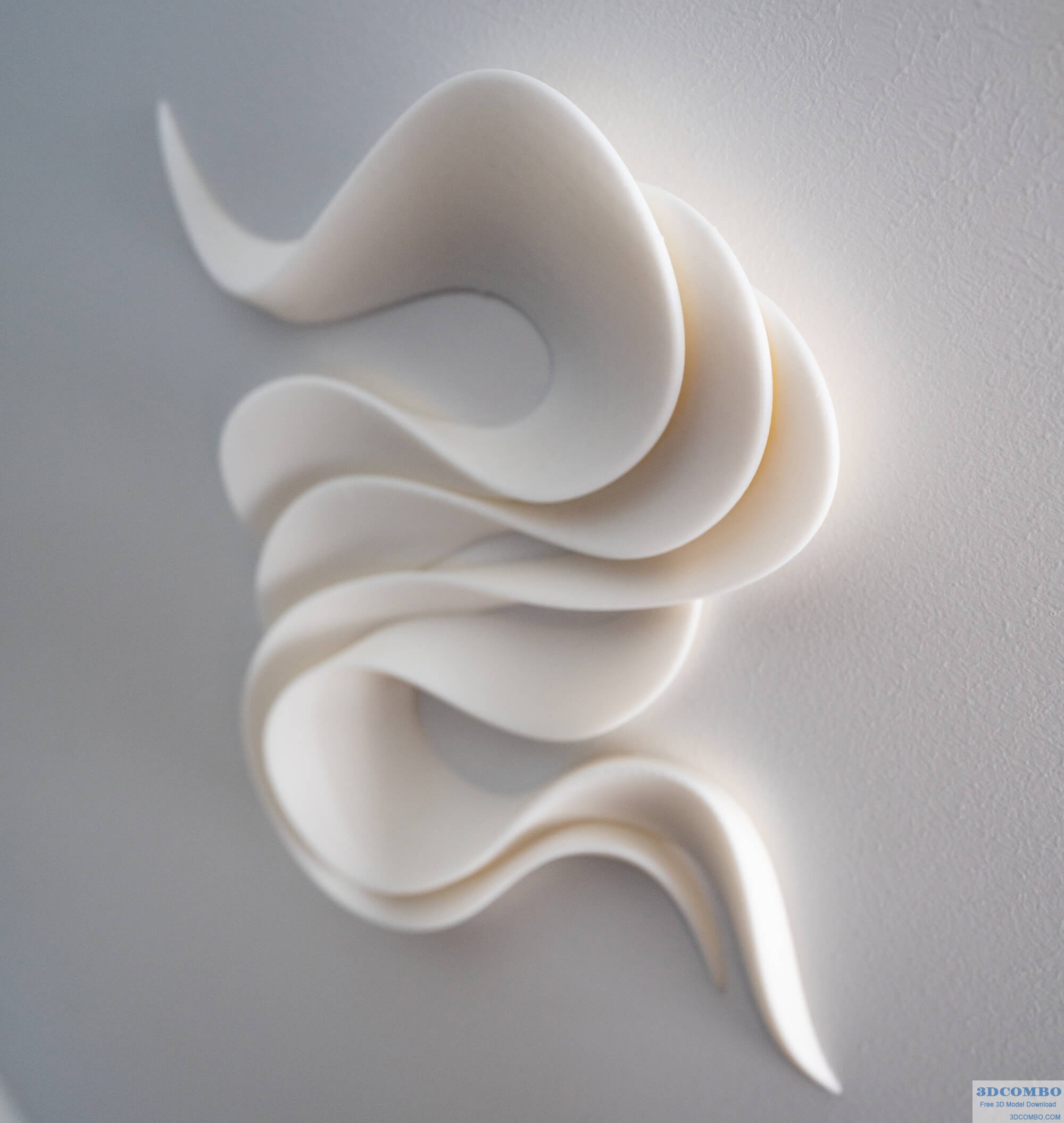 CURVES WALL ART