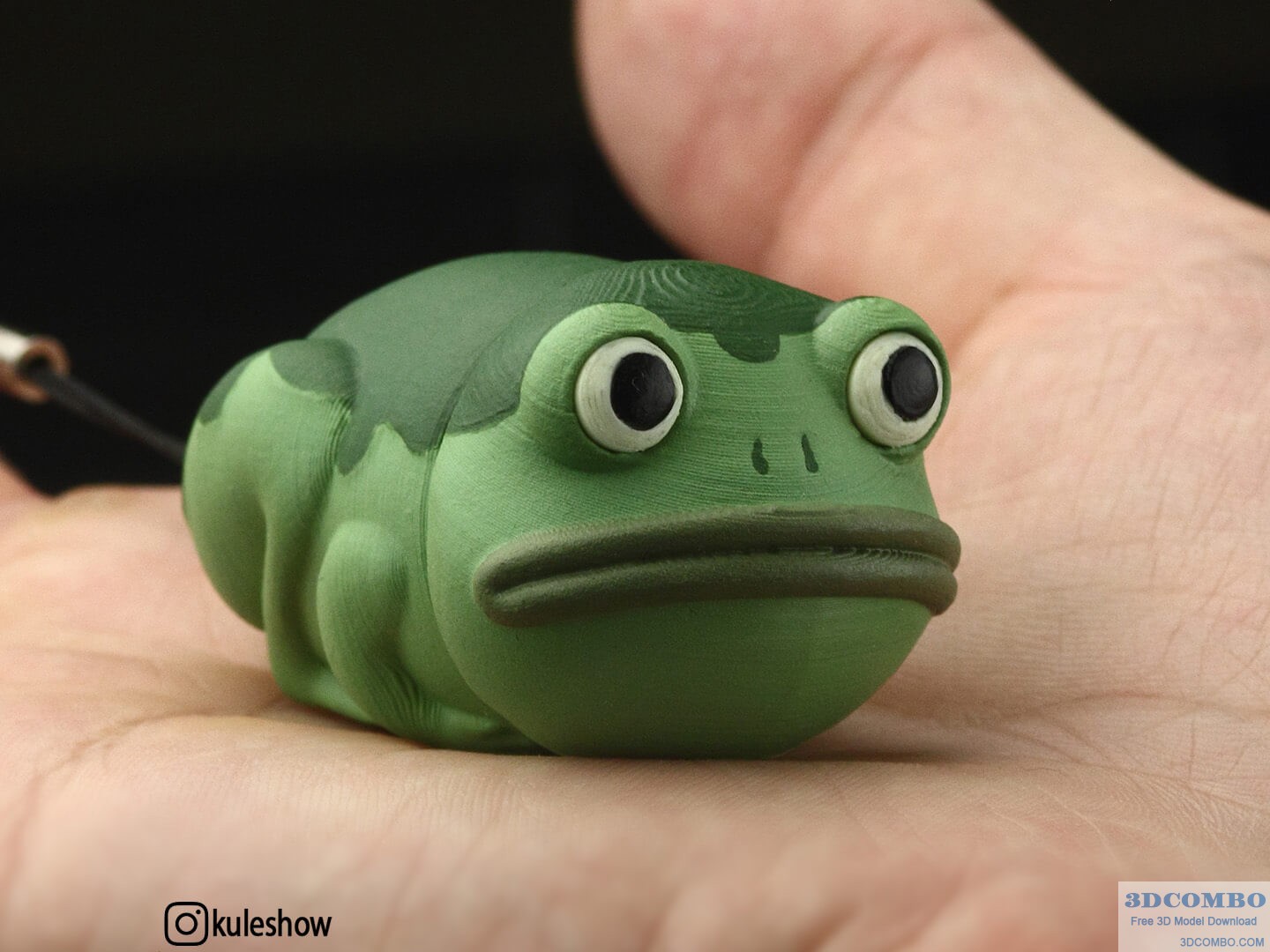 FROG NEEDLECASE