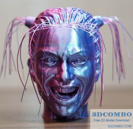 HAIRLEY QUINN 3D MODEL