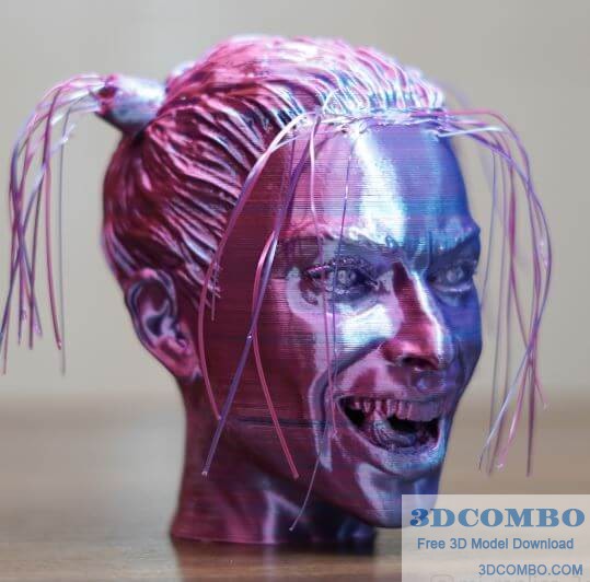 Hairley Quinn 3D Model2.3dcombo.com