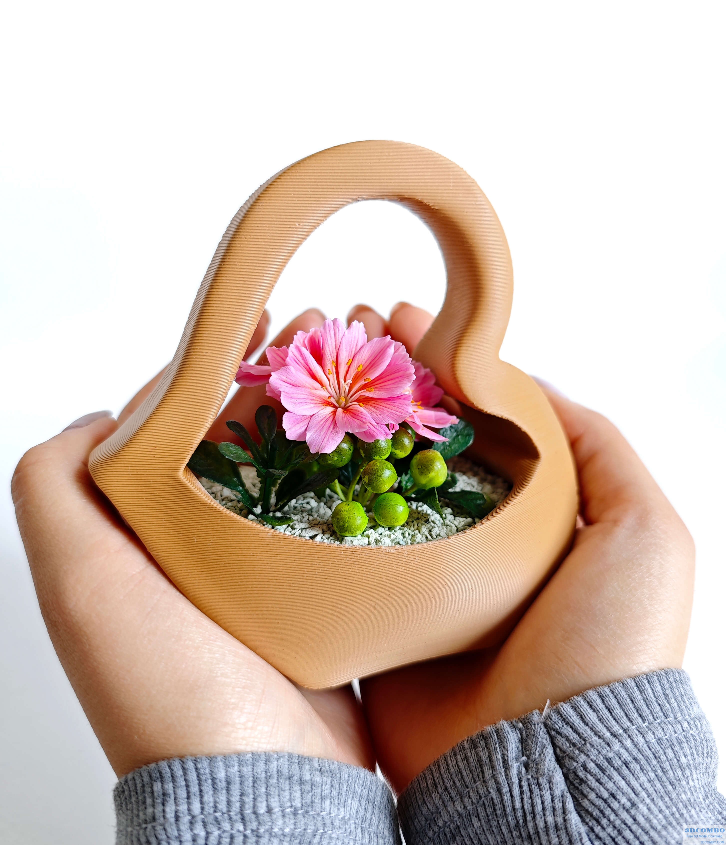 Heart Shaped Plant Pot1.3dcombo.com