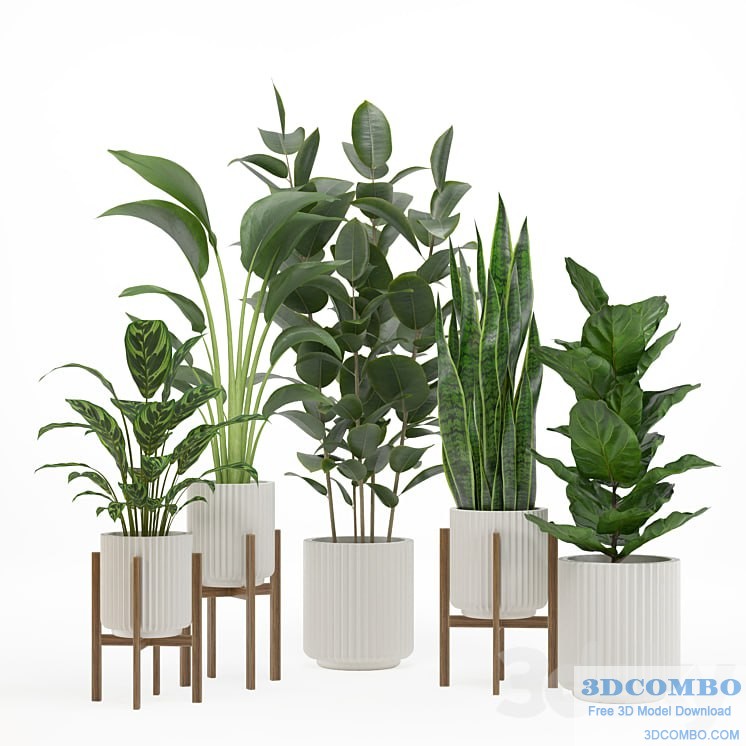 Indoor plant set 003