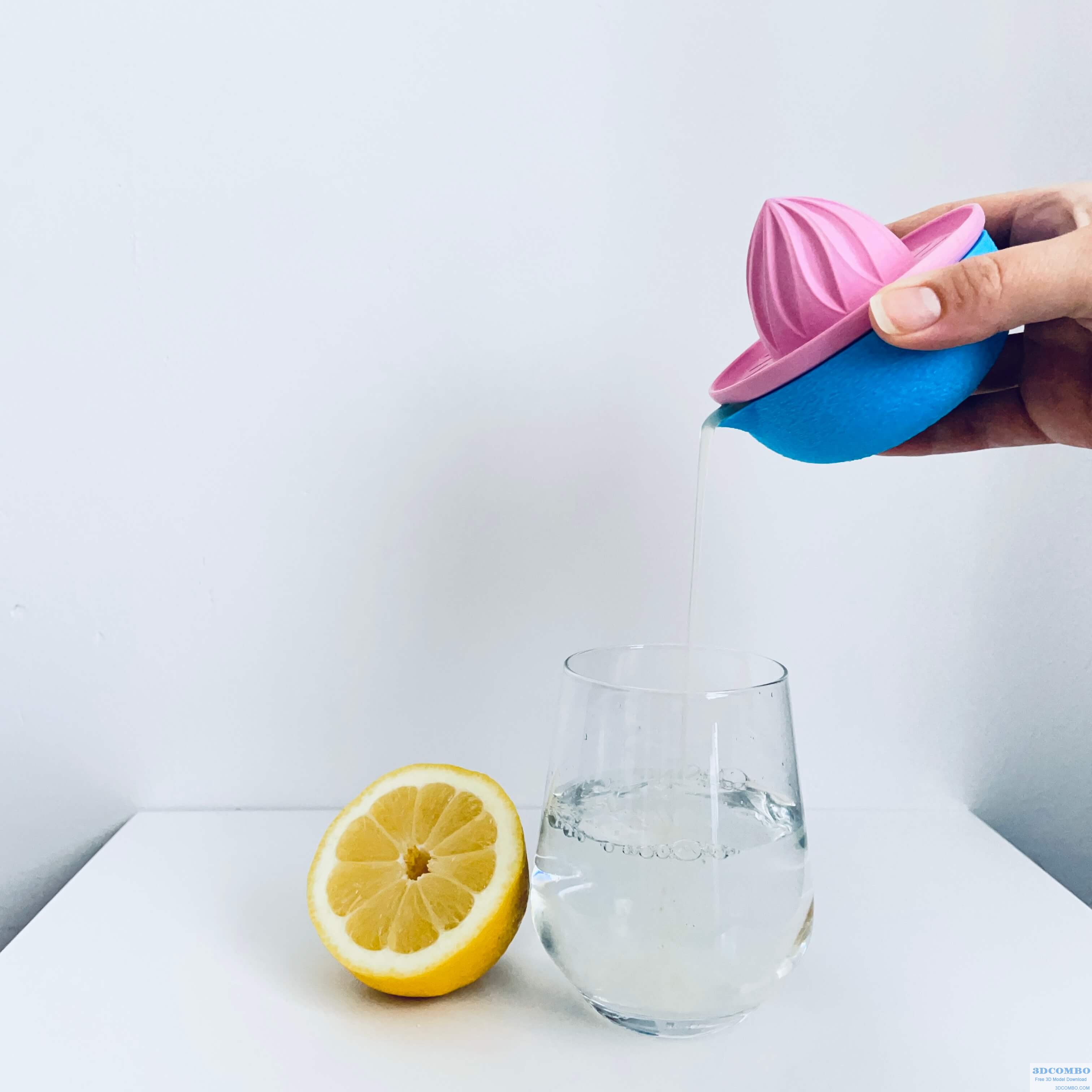 Lemon Squeezer1.3dcombo.com