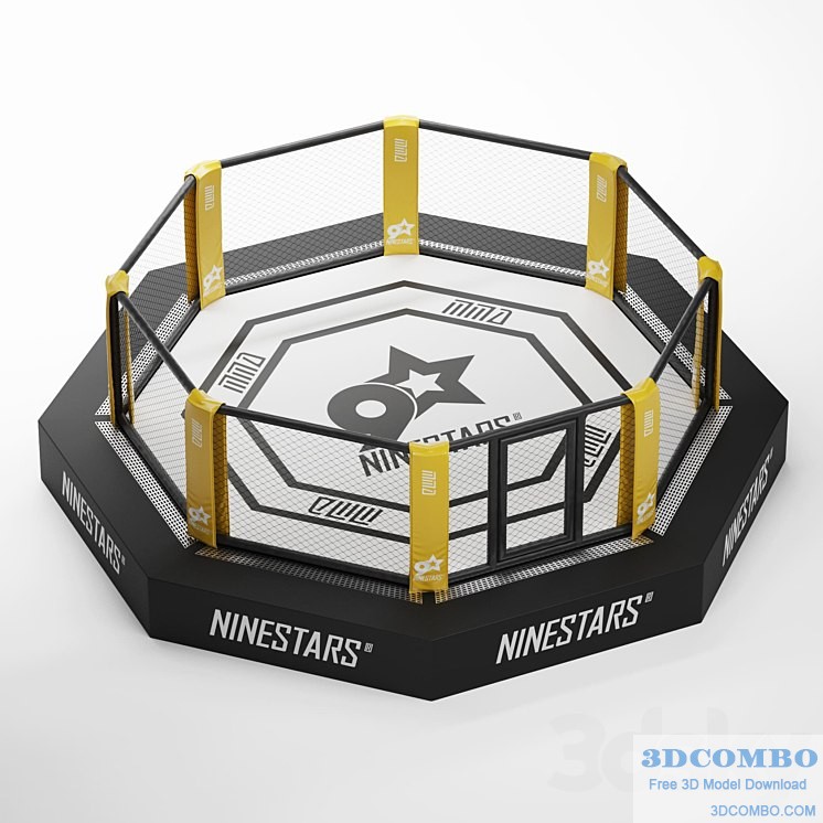 MMA arena octagon