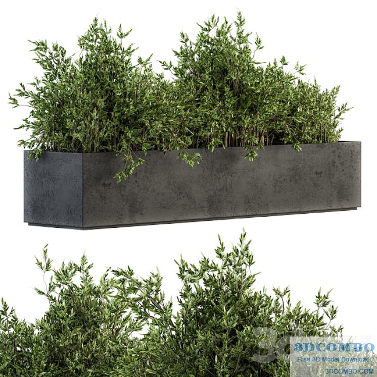 Outdoor Plants tree in Concrete Box - Set 126