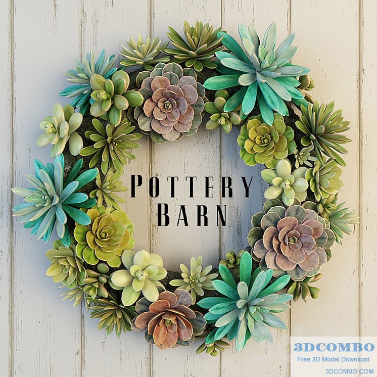 Pottery Barn Succulent Wreath