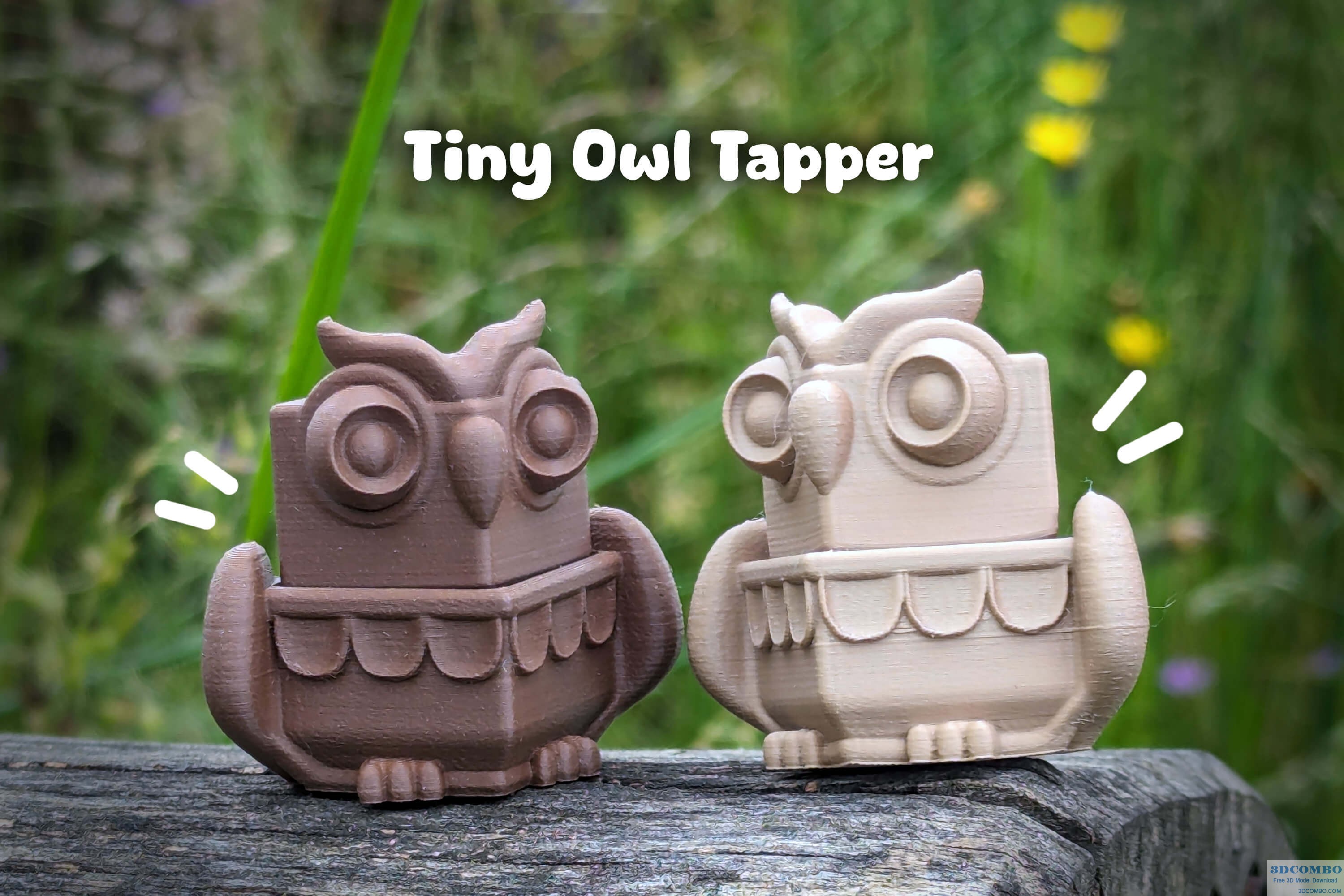 TINY OWL TAPPER!